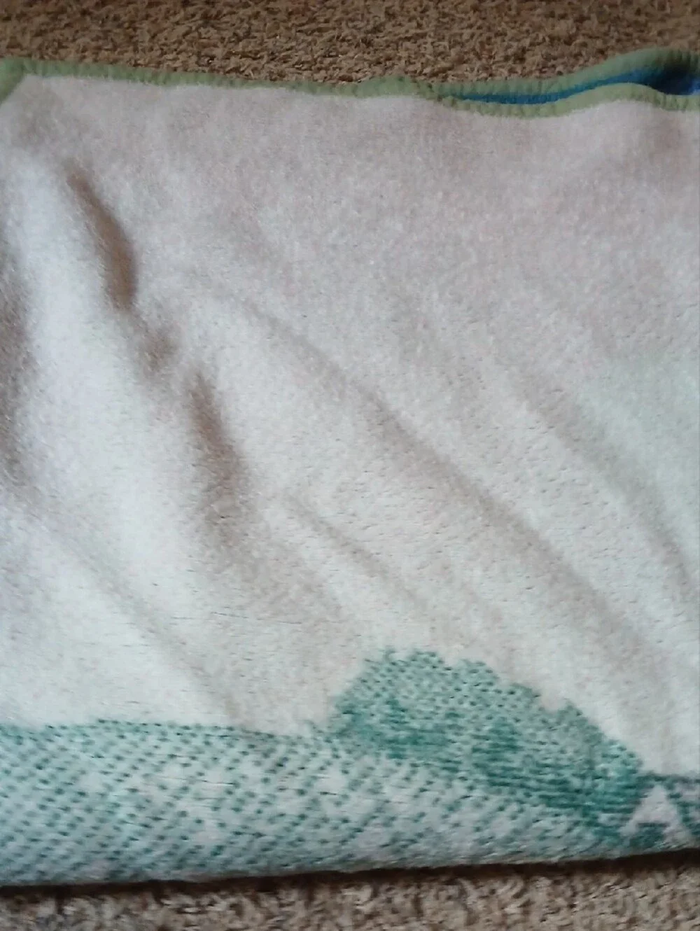 Scenic Green Print Throw Blanket
